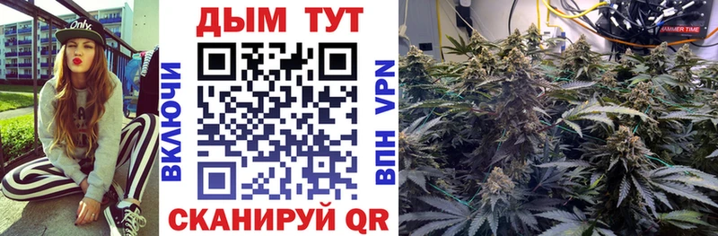 Где купить наркотики Сухой Лог Гашиш  СК  Кокаин  Мефедрон  Конопля 