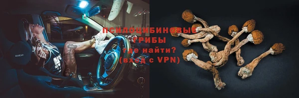 эйфоретик Армянск