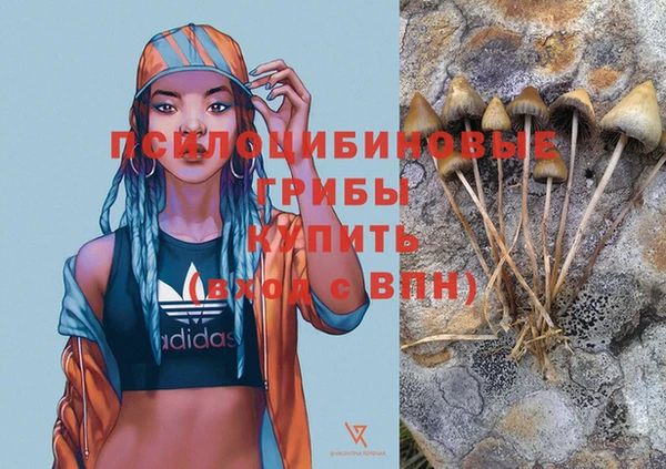 соль курить ск Аркадак