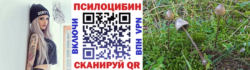 Галлюциногенные грибы MAGIC MUSHROOMS Сухой Лог
